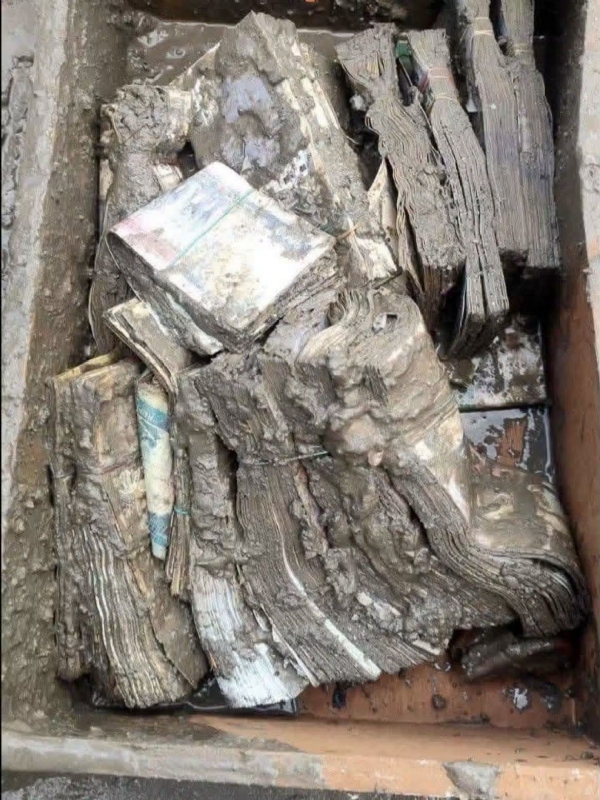بھوٹے کوشی سیلاب میں ڈوبی زرعی ترقیاتی بینک کی شاخ سے ڈیڑھ کروڑ نقد اور 50 کروڑ روپے مالیت کا سونا برآمد بھوٹے کوشی سیلاب میں ڈوبی زرعی ترقیاتی بینک کی شاخ سے ڈیڑھ کروڑ نقد اور 50 کروڑ روپے مالیت کا سونا برآمد