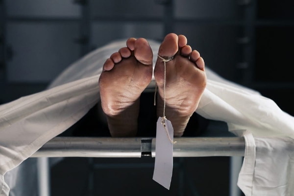 Dead body Dead body