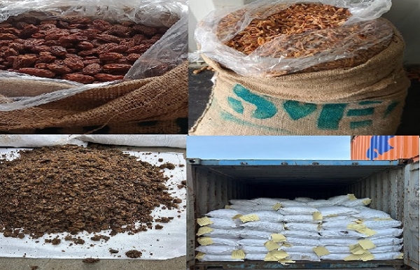 تین کروڑ روپے مالیت کی 364 میٹرک ٹن ممنوعہ پاکستانی خشک کھجور ضبط تین کروڑ روپے مالیت کی 364 میٹرک ٹن ممنوعہ پاکستانی خشک کھجور ضبط