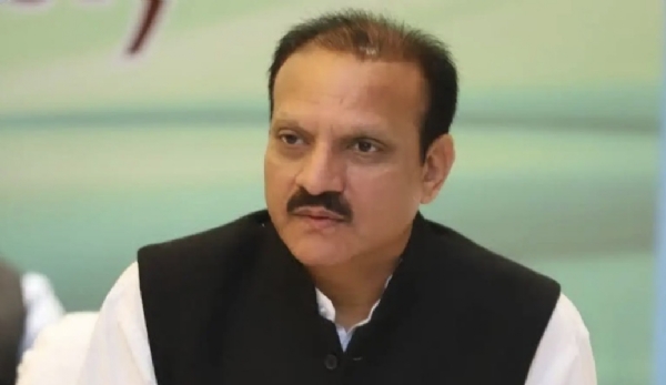 وہپ وہپ