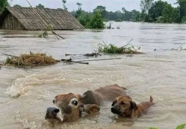 آسام کے بعض علاقوں میں دوبارہ سیلاب کا خطرہ منڈلانے لگا آسام کے بعض علاقوں میں دوبارہ سیلاب کا خطرہ منڈلانے لگا