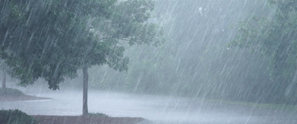 Weather Marathwada Light Rain Expected