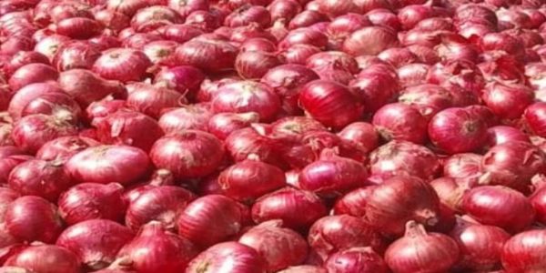 پیاز نے کچن کا بجٹ بگاڑا، خوردہ بازار میں قیمت 70 روپے فی کلو