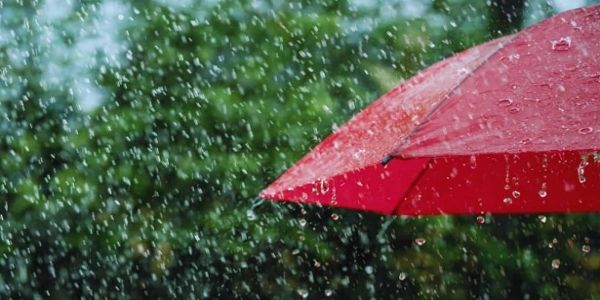 تلنگانہ کے اضلاع میں آئندہ 24 گھنٹوں میں شدید بارش کا امکان