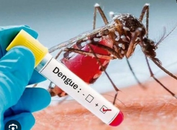Amravati Dengue Malaria Risk Rises Amravati Dengue Malaria Risk Rises