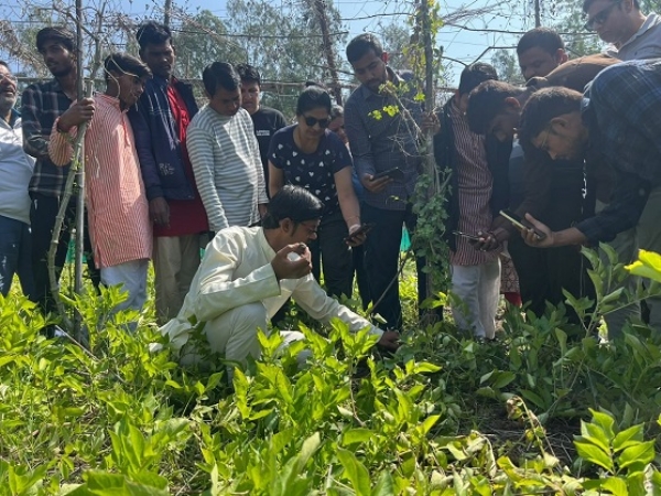ساگر کے آکاش چورسیہ نے زراعت کو جدت کا ماڈل بنایا ساگر کے آکاش چورسیہ نے زراعت کو جدت کا ماڈل بنایا