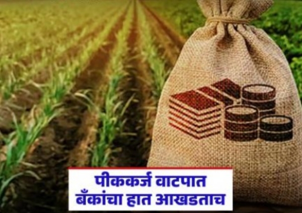 Farm Loan Waiver Crop Loan Amravati Banks Slow Lending