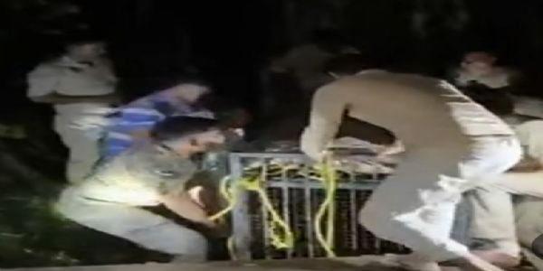 بجنور: محکمہ جنگلات نے کنویں میں گرے گلدار کوبچایا