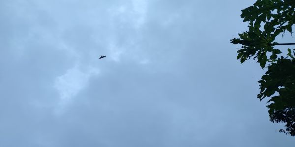 اتراکھنڈ میں جاری رہے گا  بارش کا سلسلہ ، کئی اضلاع میں شدید بارش کی وارننگ