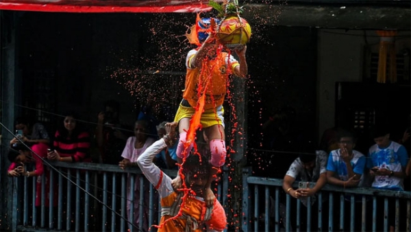 Maharashtra Dahi Handi Deaths Injuries