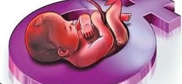 Wardha Illegal Sex Determination Abortion Informant Reward